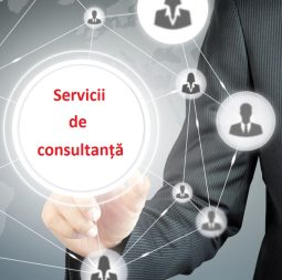 Servicii de consultanta